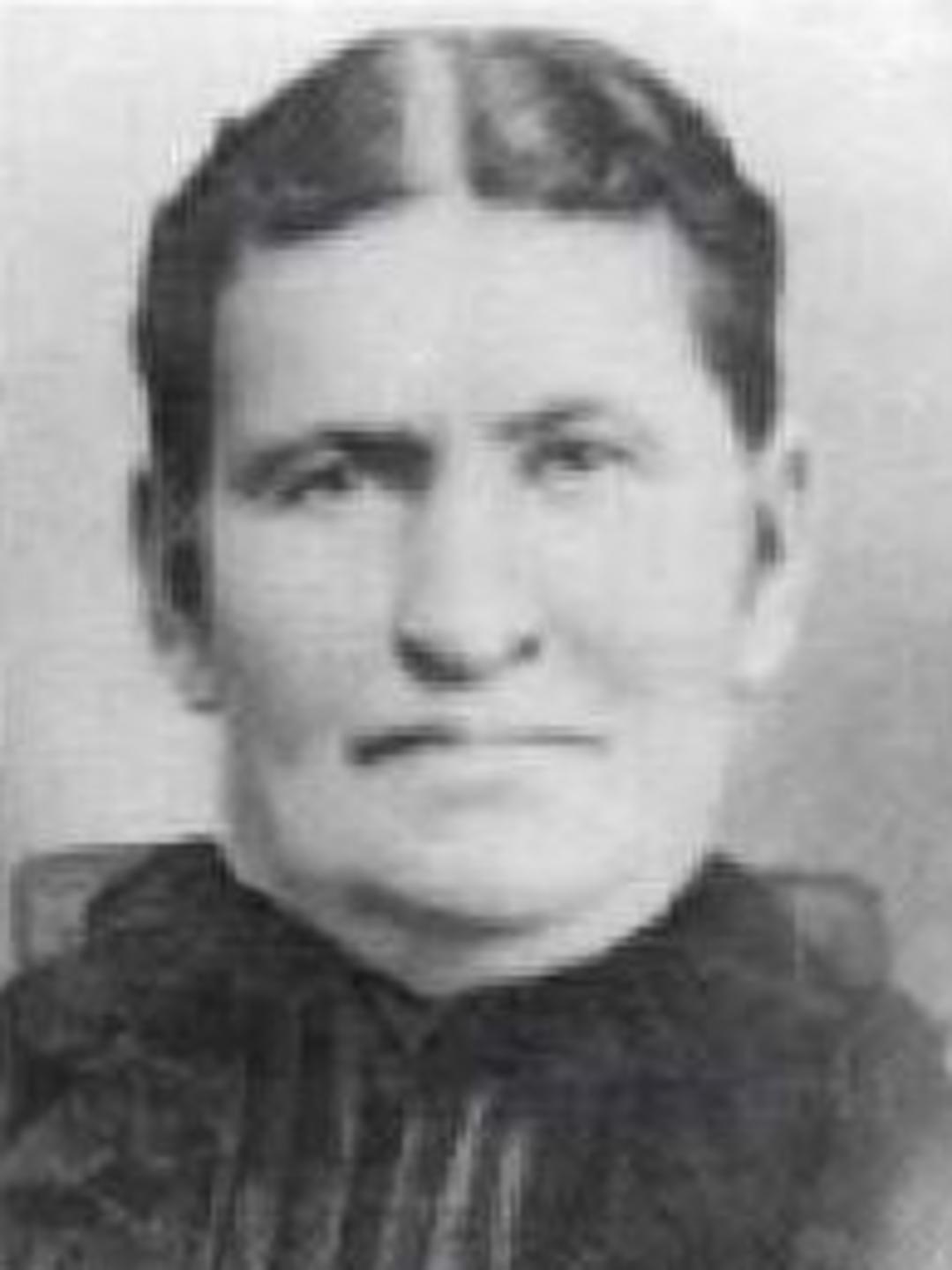 Eliza Ann Lee (1850 - 1919) Profile